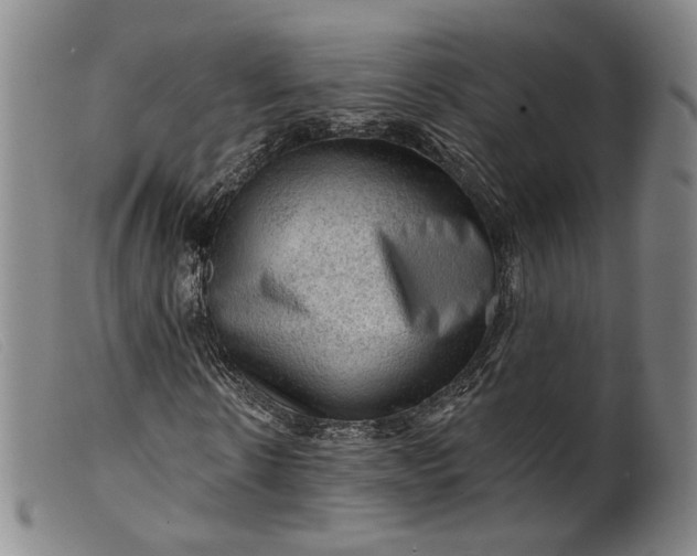 X0000099450914200805231738