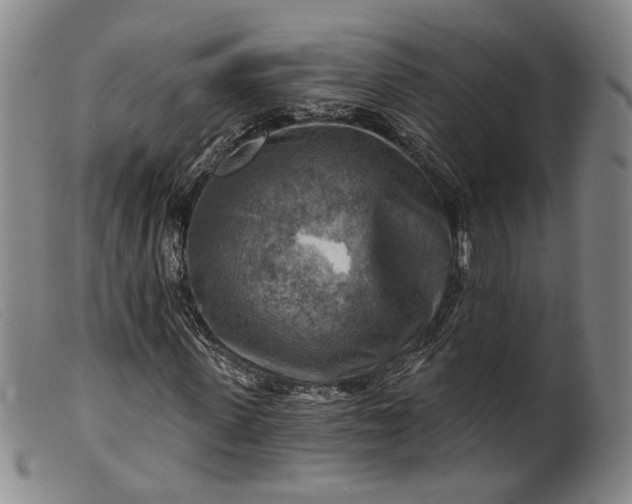 X0000099450915200805231738