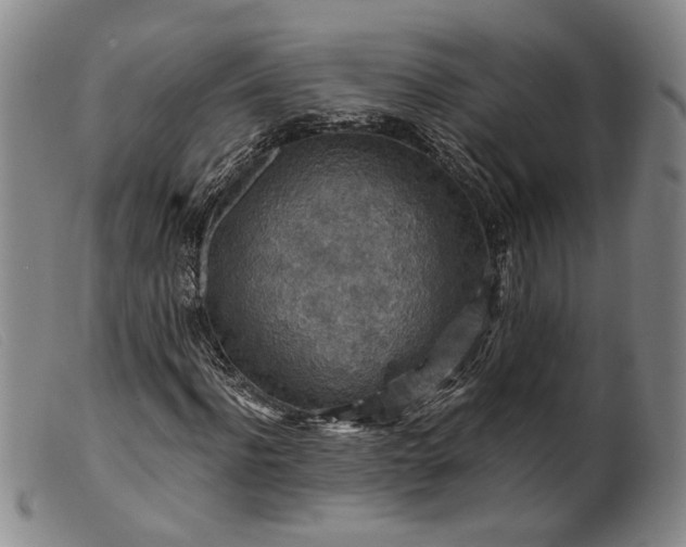 X0000099450916200805231738