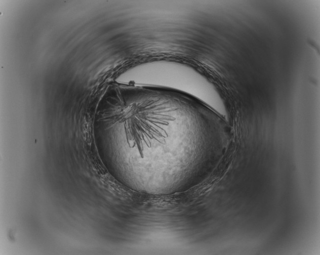 X0000099450917200805231738