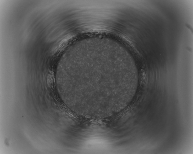 X0000099450918200805231738