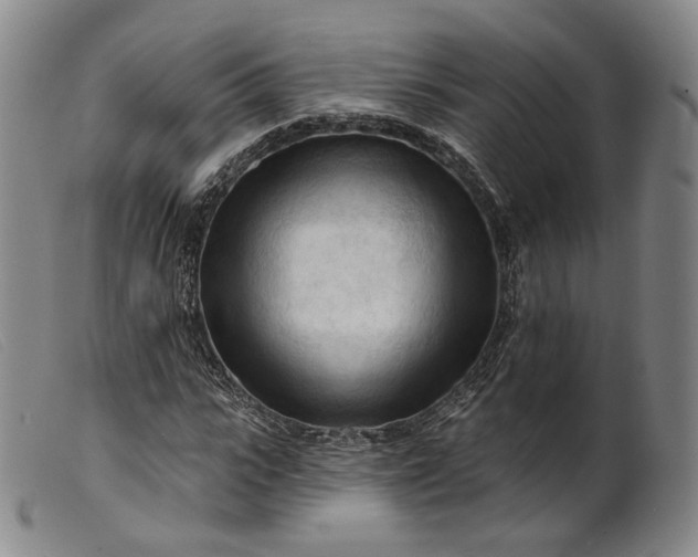 X0000099450919200805231738