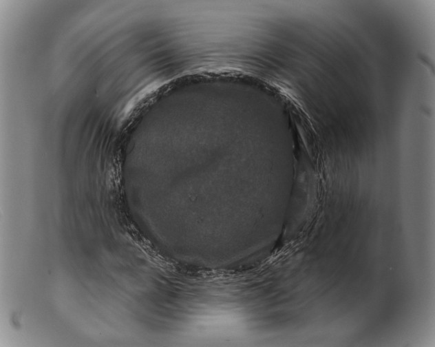 X0000099450920200805231738