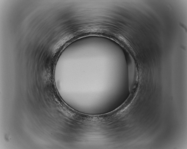 X0000099450922200805231738