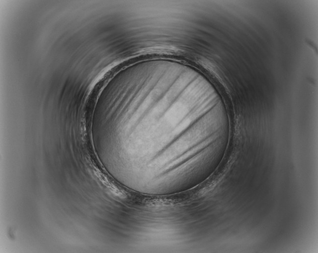 X0000099450923200805231738