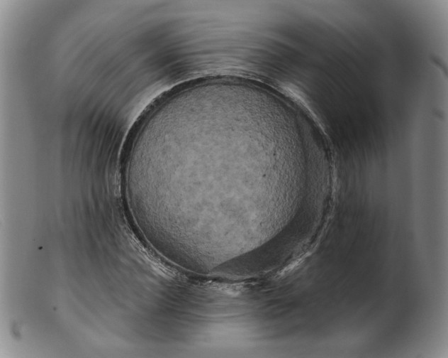 X0000099450924200805231738