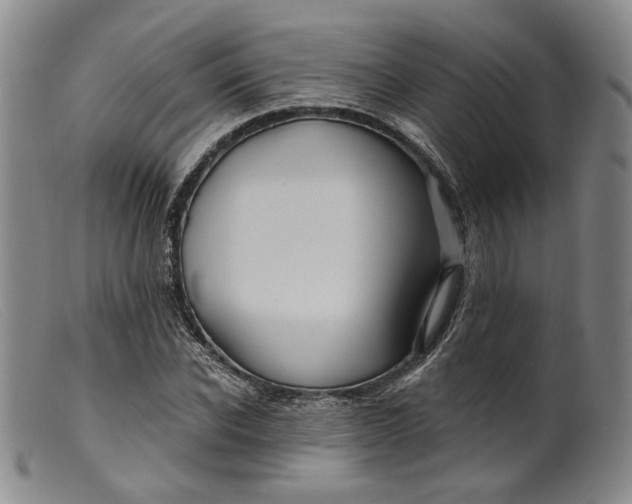 X0000099450926200805231738