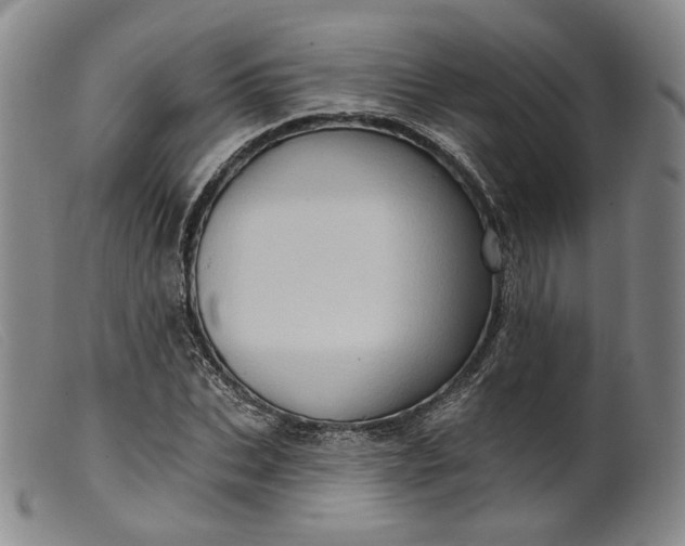 X0000099450927200805231738