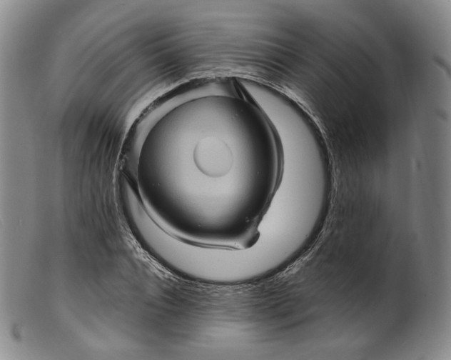 X0000099450928200805231738