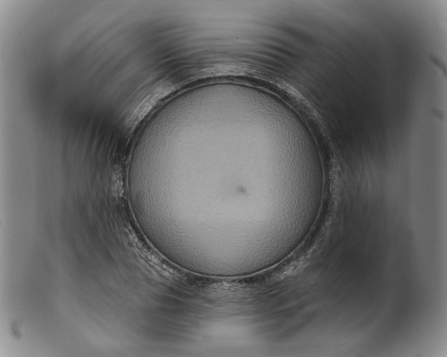 X0000099450929200805231738