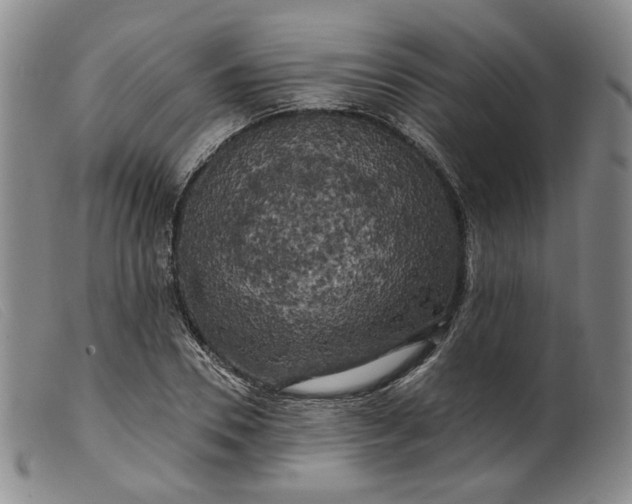 X0000099450930200805231738