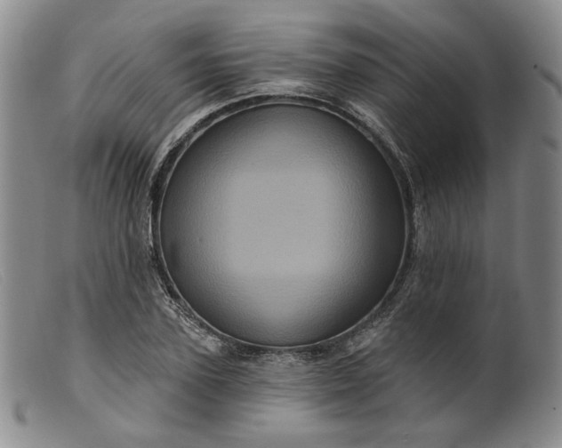 X0000099450931200805231738