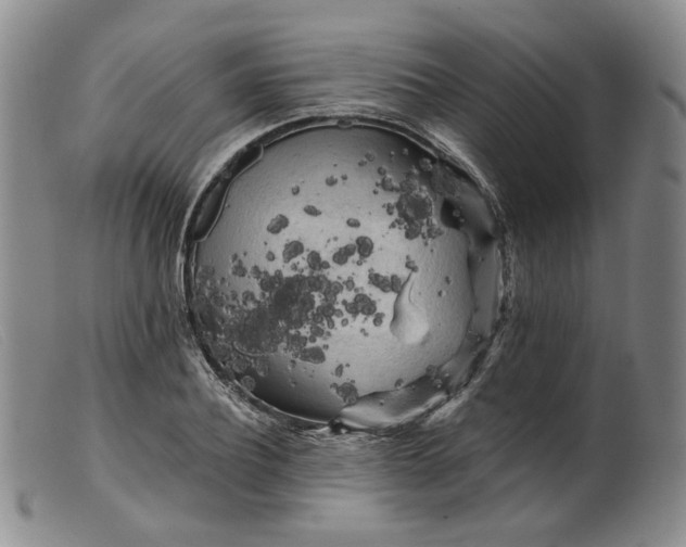 X0000099450932200805231738