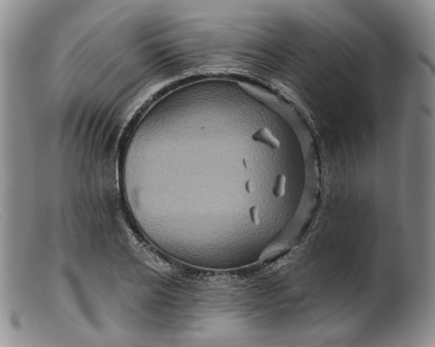 X0000099450934200805231738