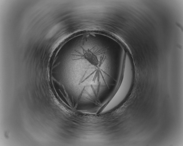 X0000099450935200805231738