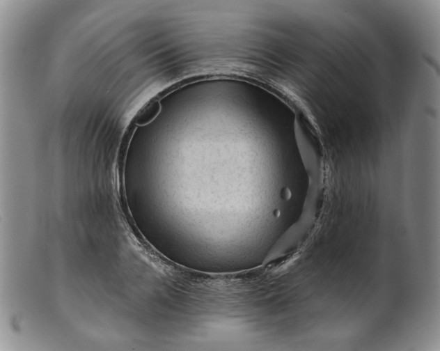 X0000099450936200805231738