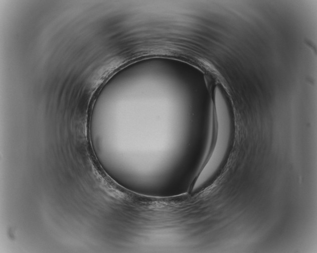 X0000099450938200805231738