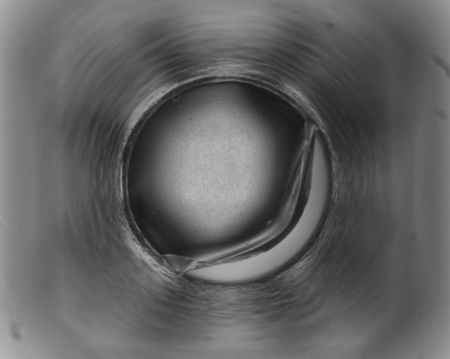 X0000099450939200805231738