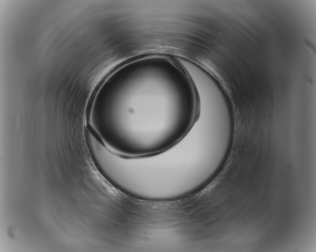 X0000099450940200805231738