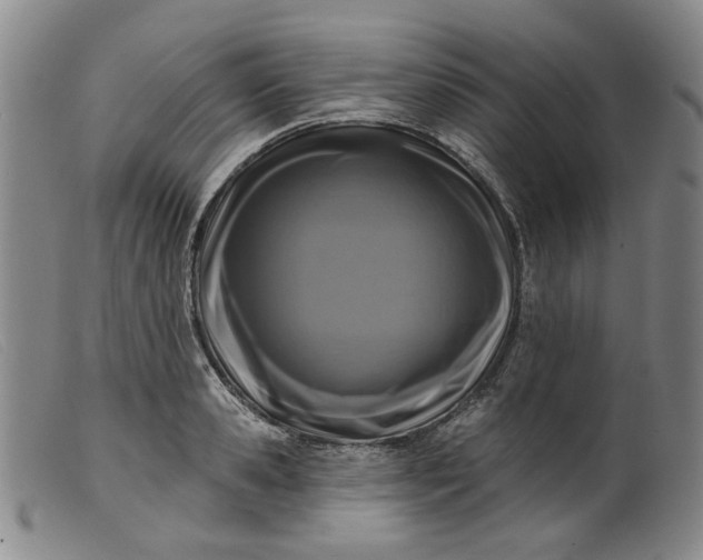 X0000099450941200805231738