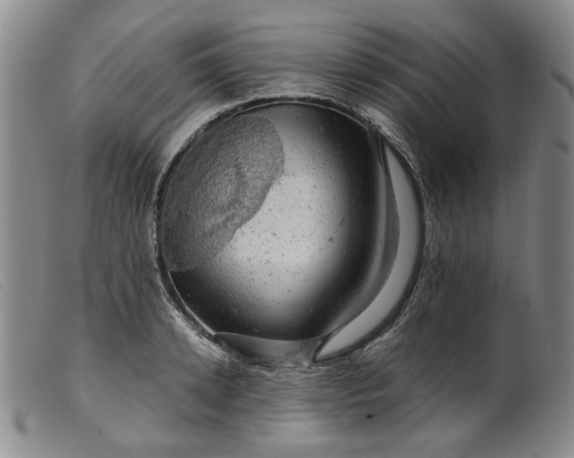 X0000099450942200805231738