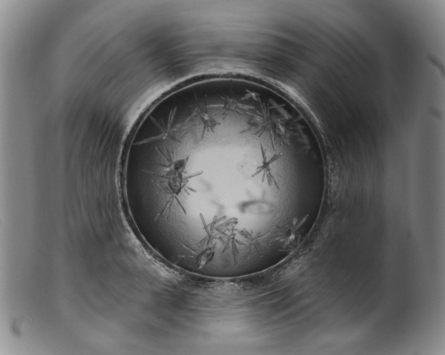 X0000099450943200805231738