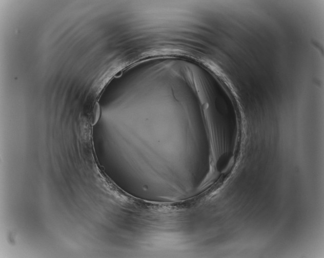 X0000099450945200805231738