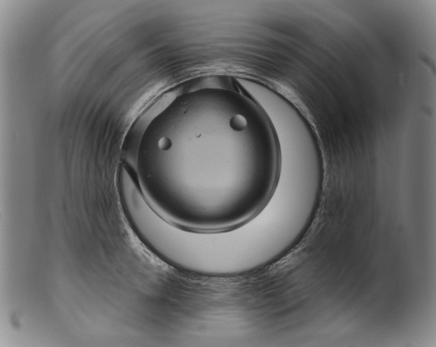 X0000099450946200805231738