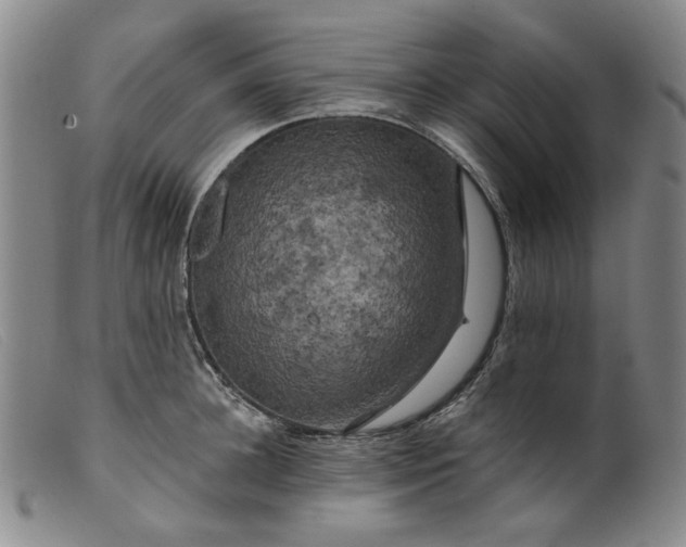 X0000099450948200805231738