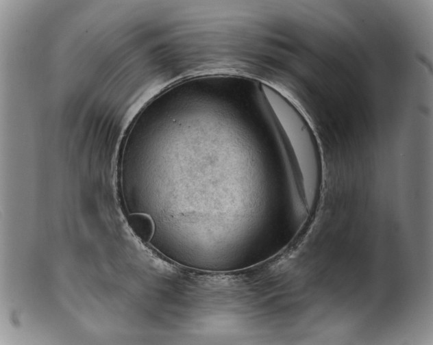 X0000099450949200805231738