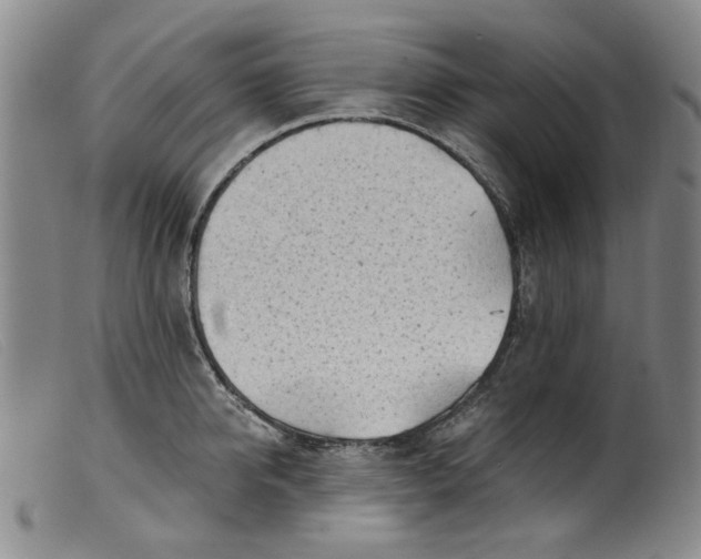 X0000099450950200805231738