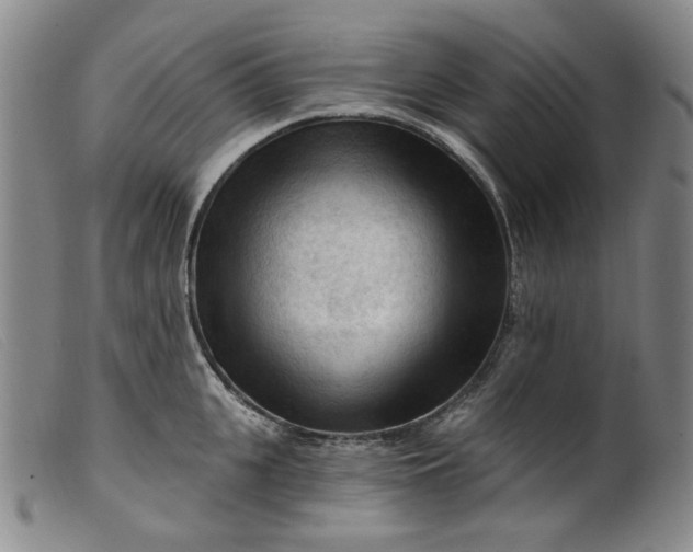 X0000099450951200805231738