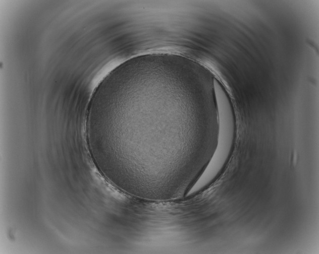 X0000099450952200805231738