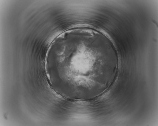 X0000099450953200805231738