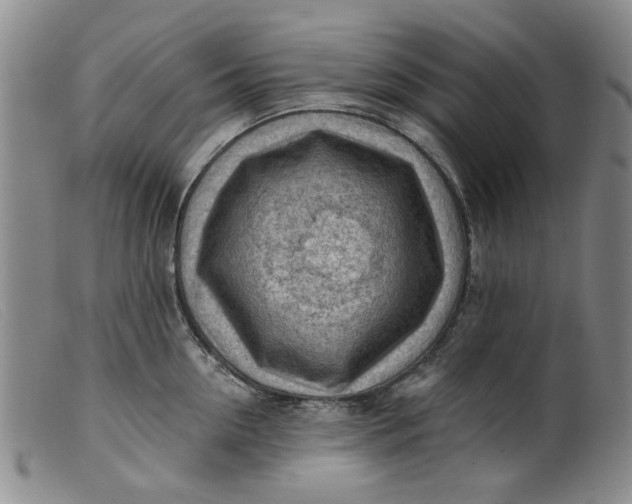 X0000099450954200805231738