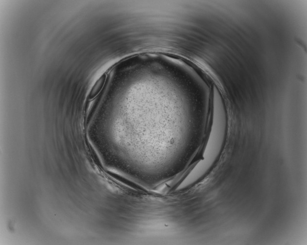 X0000099450956200805231738