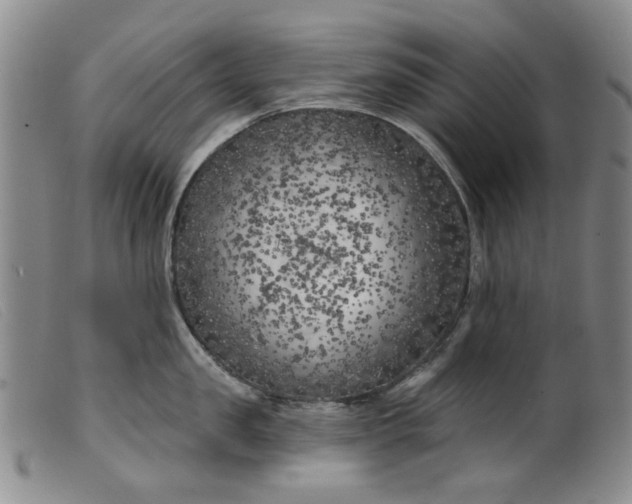 X0000099450957200805231738