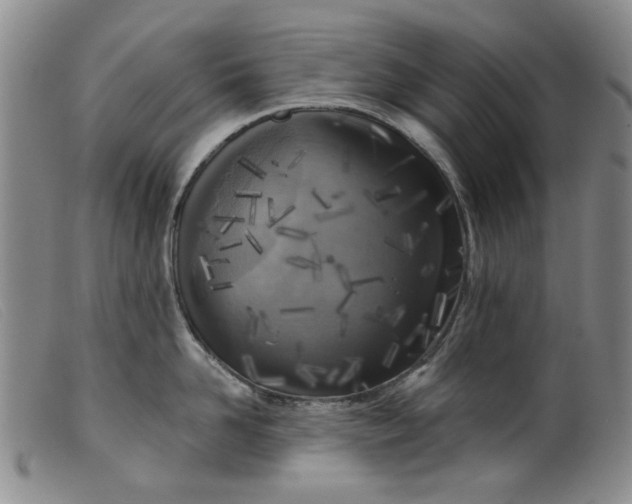 X0000099450958200805231738