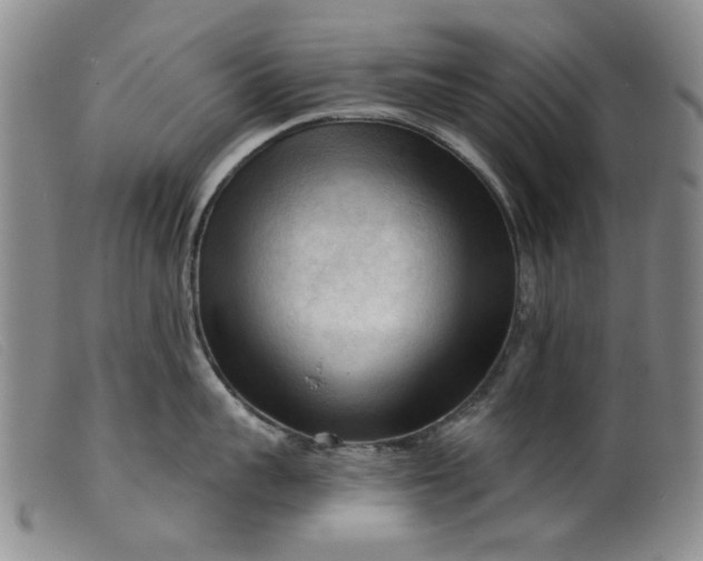 X0000099450959200805231738