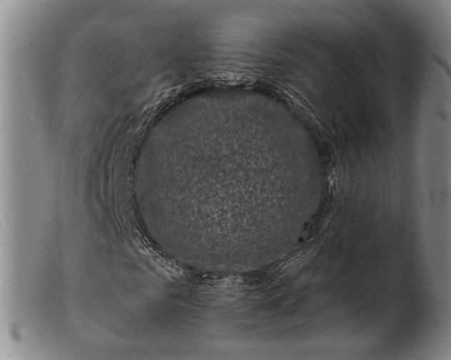 X0000099450961200805231738