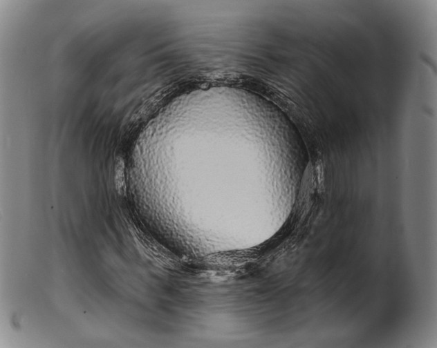 X0000099450963200805231738