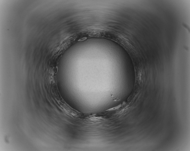 X0000099450964200805231738