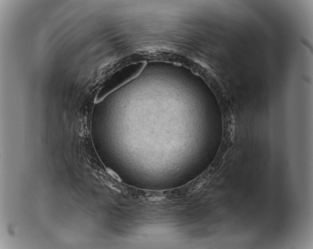 X0000099450965200805231737