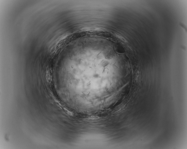 X0000099450966200805231737