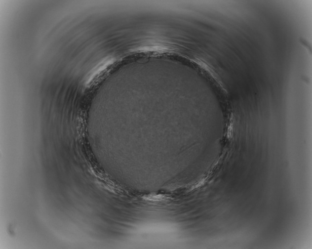 X0000099450967200805231737