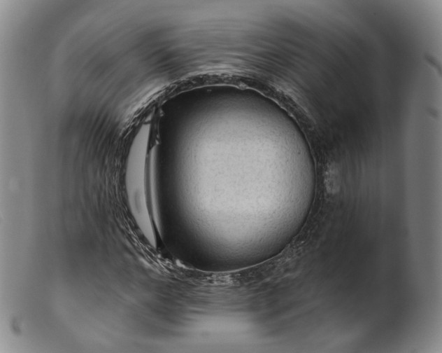 X0000099450968200805231737