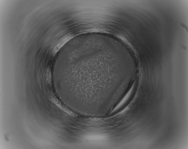 X0000099450969200805231737