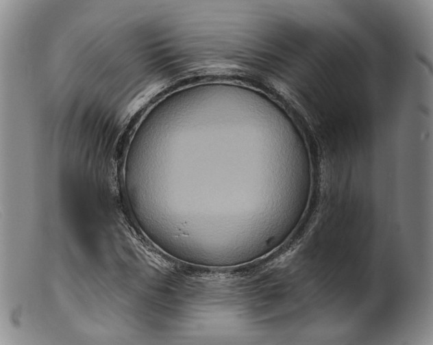 X0000099450970200805231737