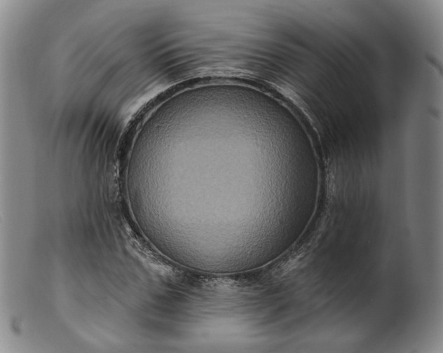 X0000099450971200805231737