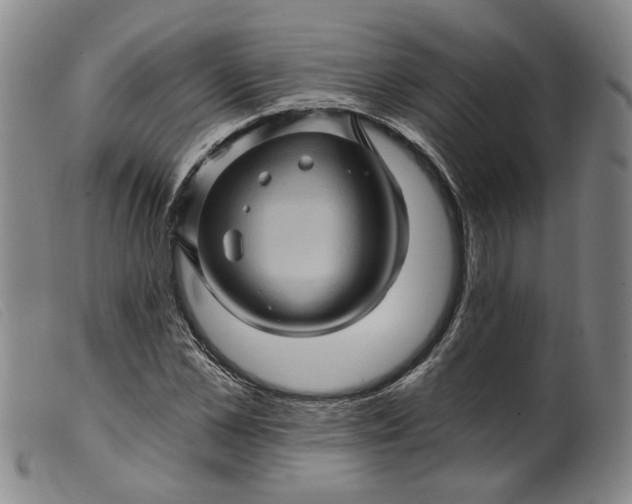 X0000099450973200805231737